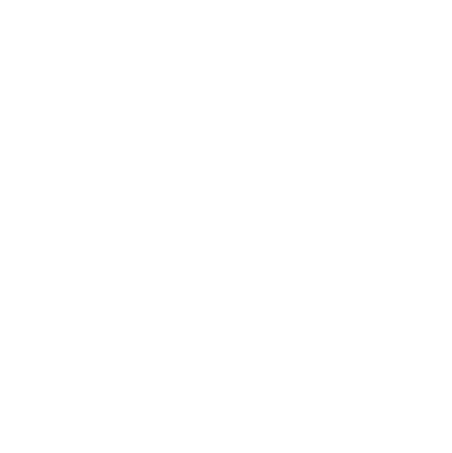 Shopify SEO