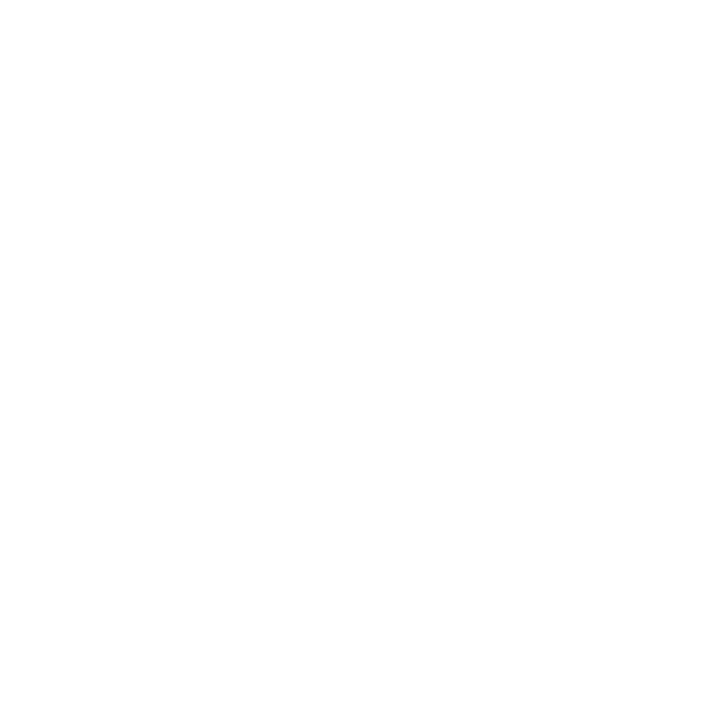 WordPress SEO
